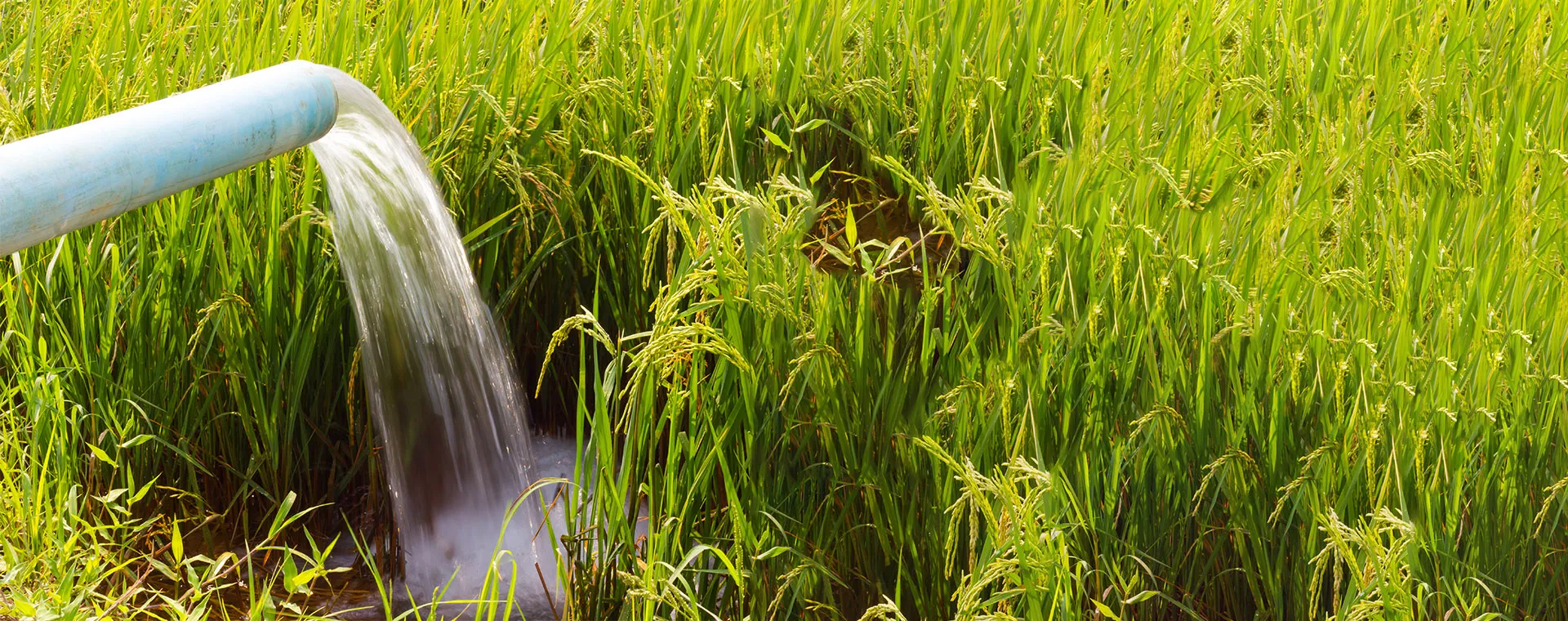 Agriculture Pressure Pipes & Fittings